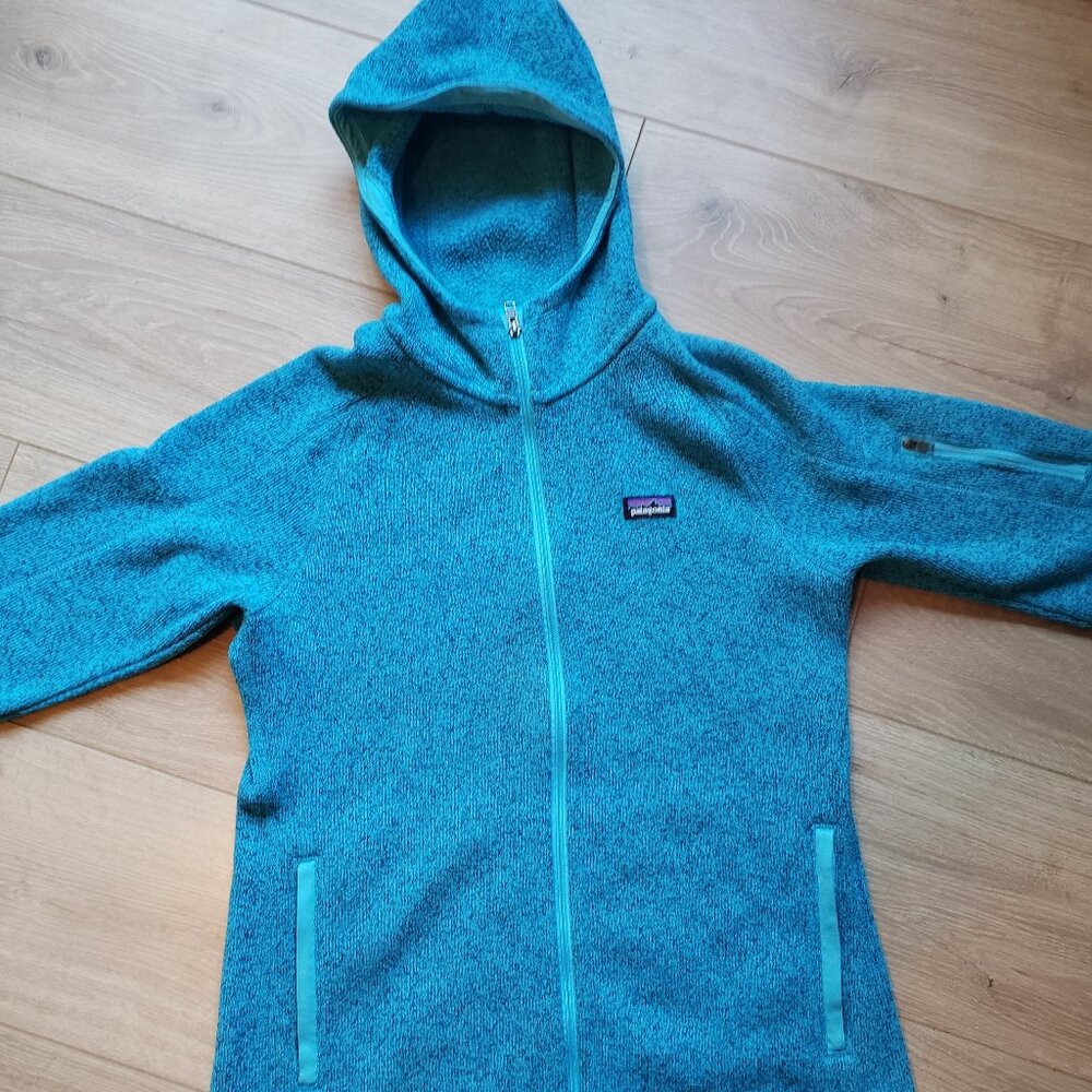 Patagonia fleece zip hooded sweatshirt size small light blue